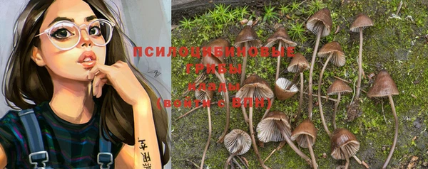 PSILOCYBIN Алексин