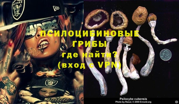 PSILOCYBIN Алексин